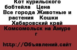 Кот курильского бобтейла › Цена ­ 5 000 - Все города Животные и растения » Кошки   . Хабаровский край,Комсомольск-на-Амуре г.